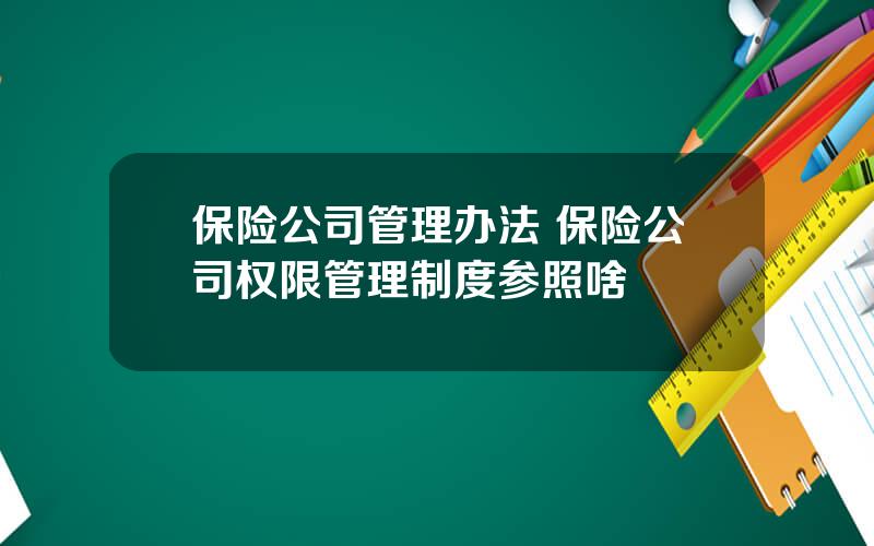 保险公司管理办法 保险公司权限管理制度参照啥